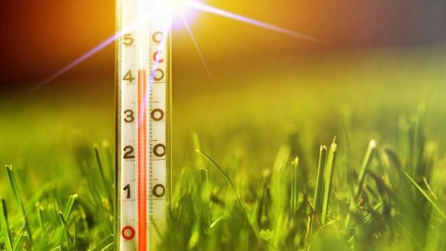 ABD’de kavurucu sıcak, 116 can aldı