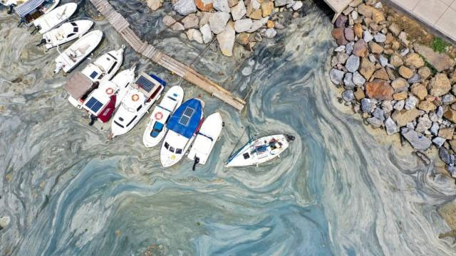 Marmara'da 9 bin 394 metreküp müsilaj temizlendi
