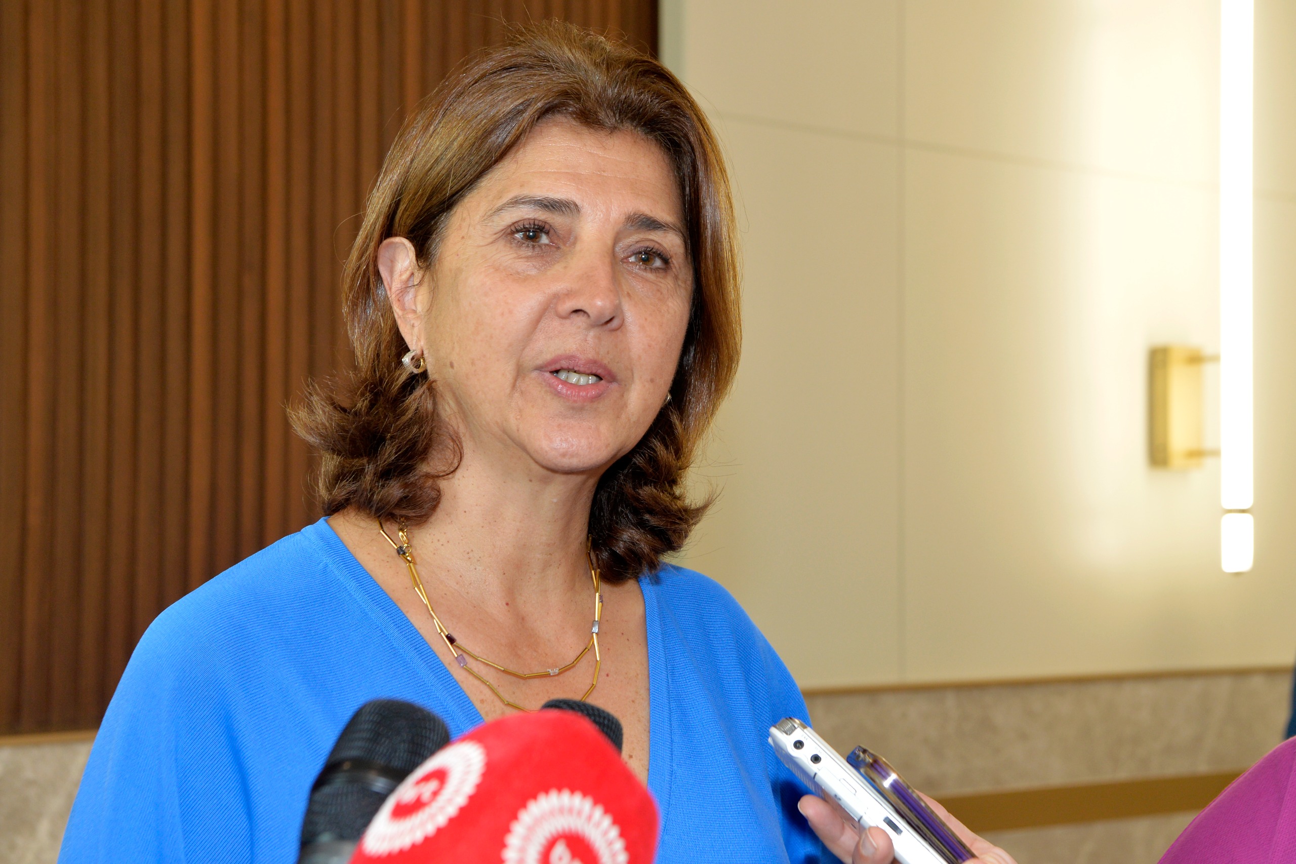 BM Genel Sekreterinin Kıbrıs Kişisel Temsilcisi Holguin'in hafta sonu adaya gelmesi bekleniyor