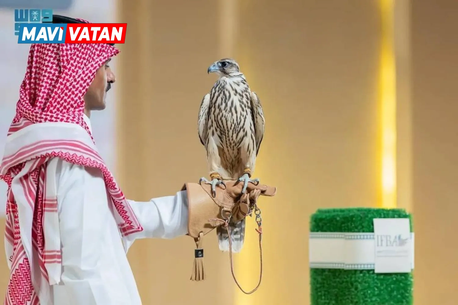 Suudi Arabistan'daki bir müzayedede iki yavru şahin 374 bin riyale satıldı